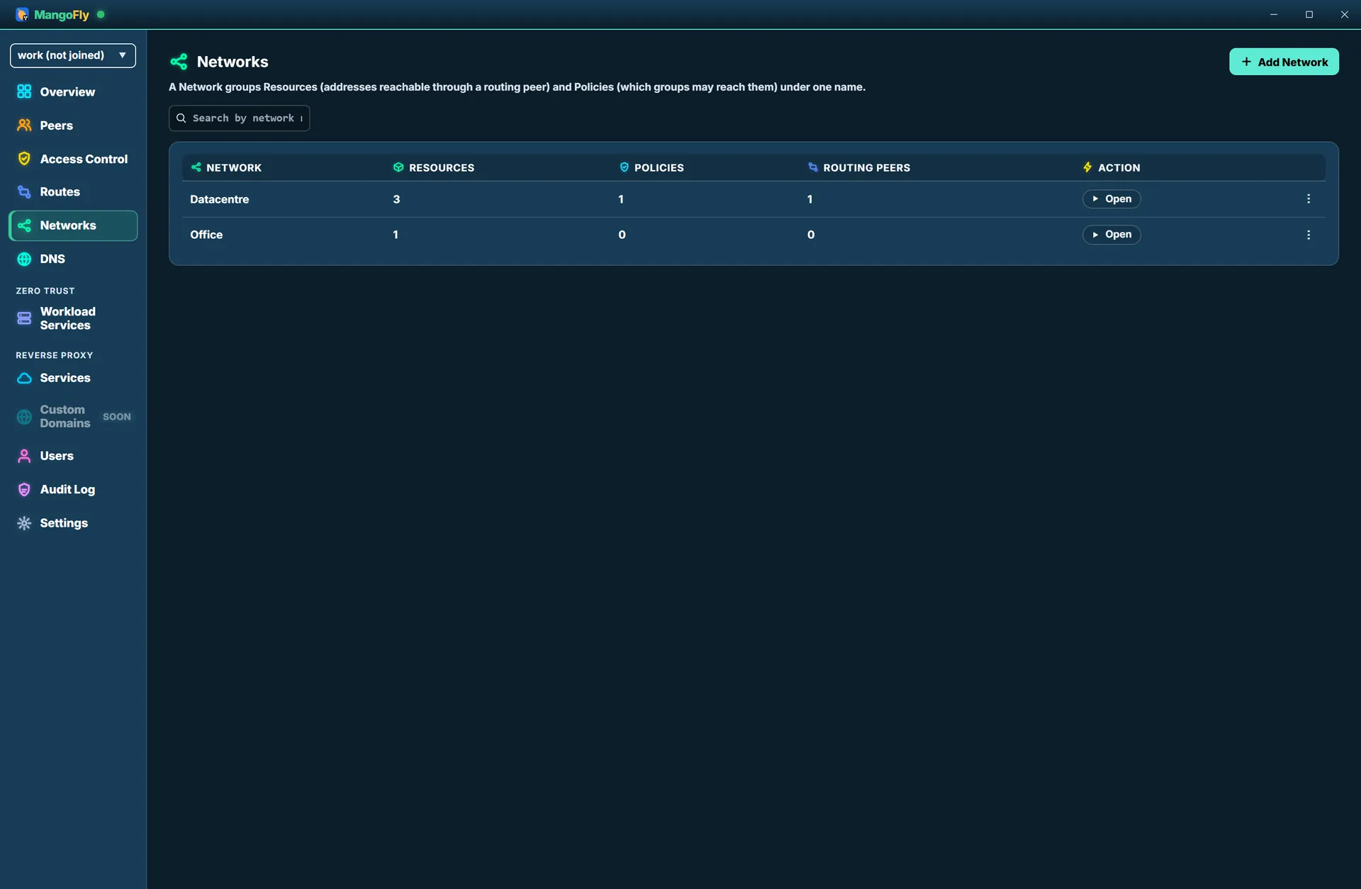 The Networks view listing two networks with their resource and routing-peer counts