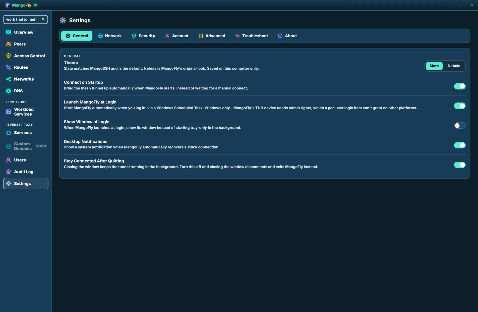 The Settings view showing network and general toggles
